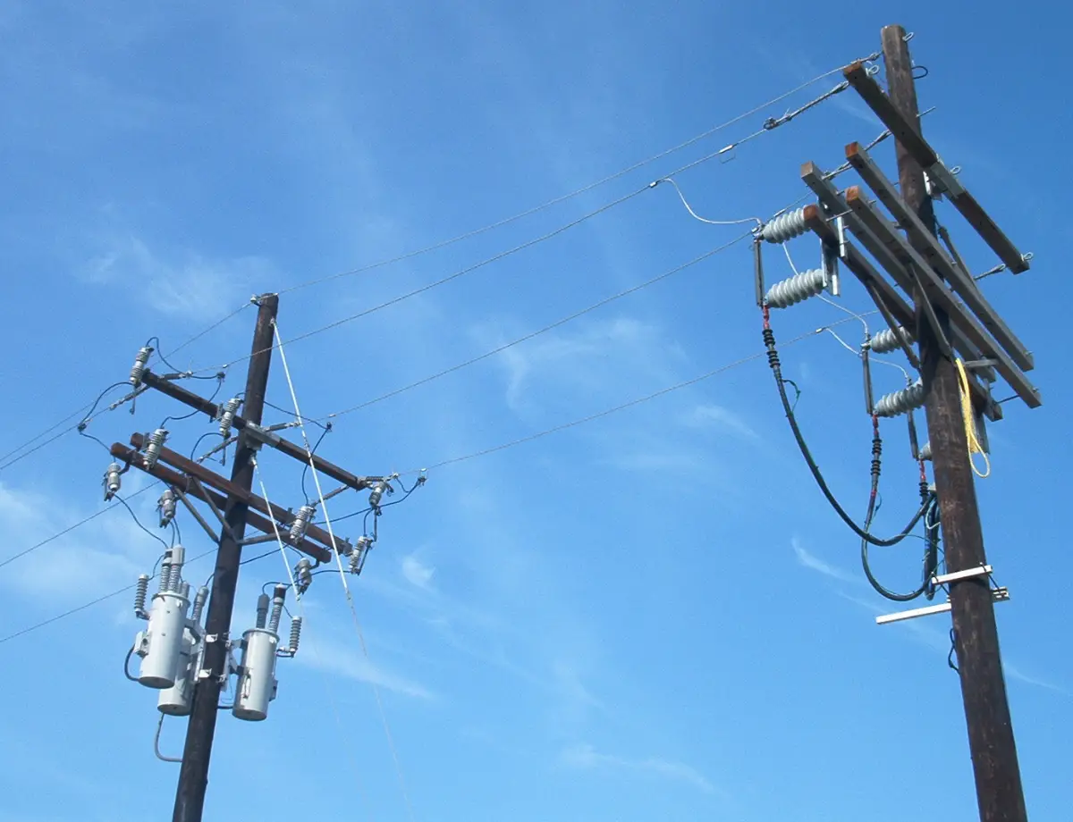 AMP-Distribution-Line-1